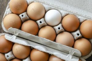 boite d'oeuf de poule