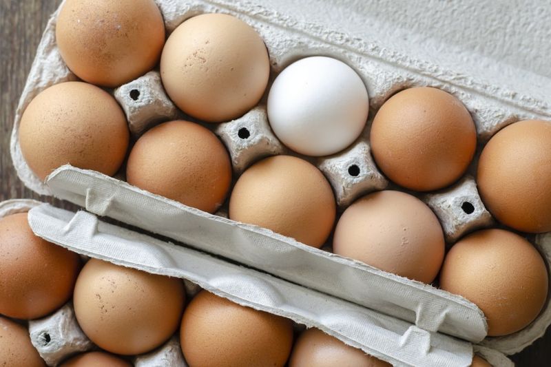 boite d'oeuf de poule